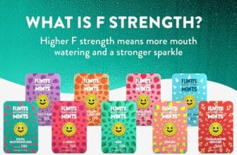 Flintts Mouthwatering Mints Review: The Ultimate Solution for Dry Mouth