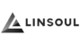 Linsoul