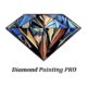 Diamond Painting Pro