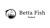 Thailand Betta Fish